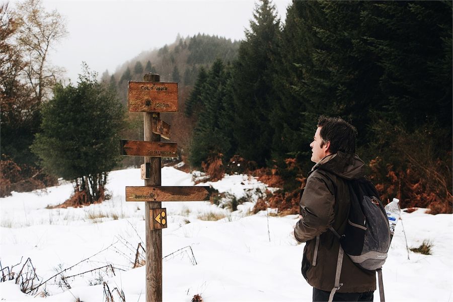 Should I Use A Roth Or Traditional IRA?